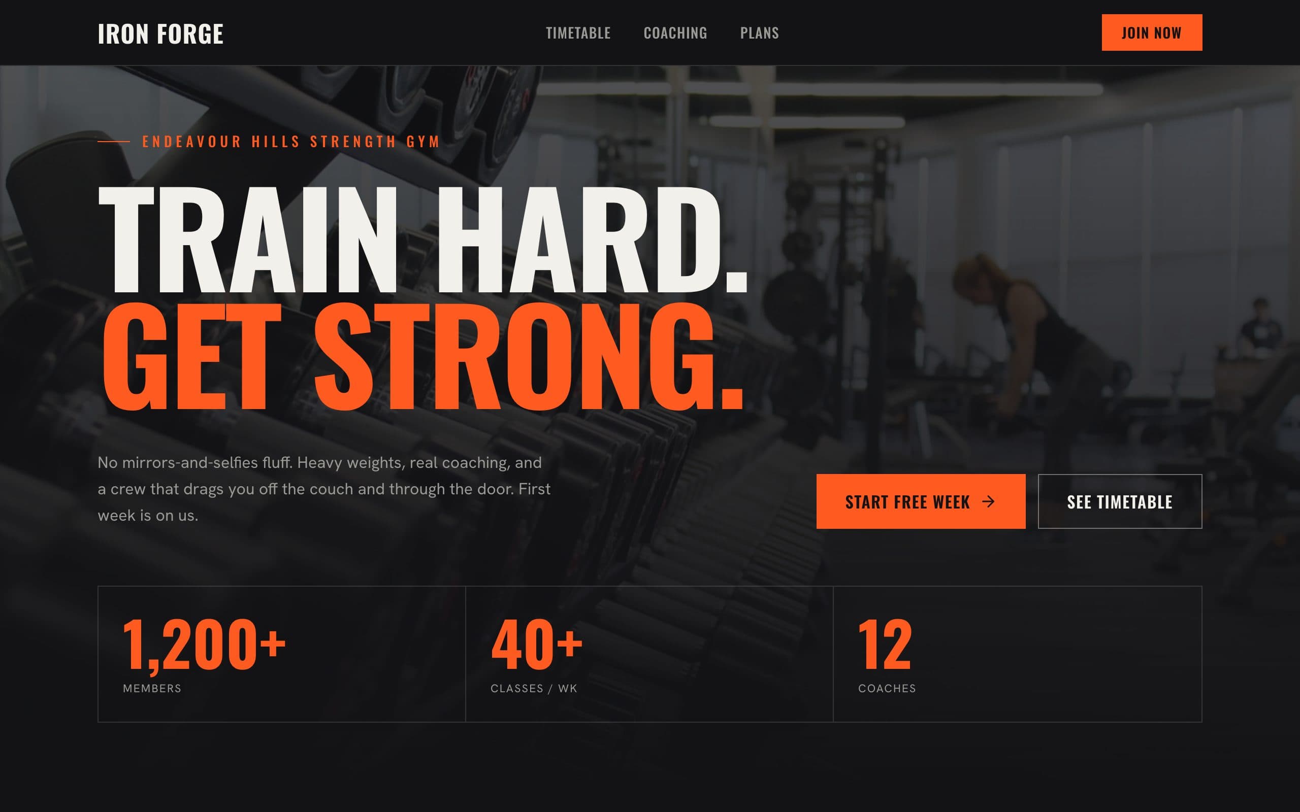 Iron Forge — sample site preview